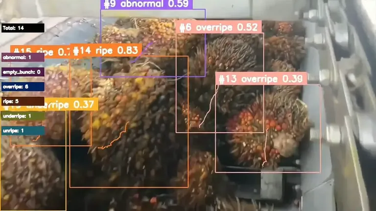 Palm Oil Ripeness Counting